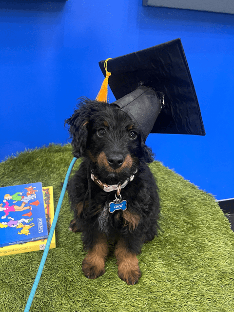 Copy of IMG_7701 (1)