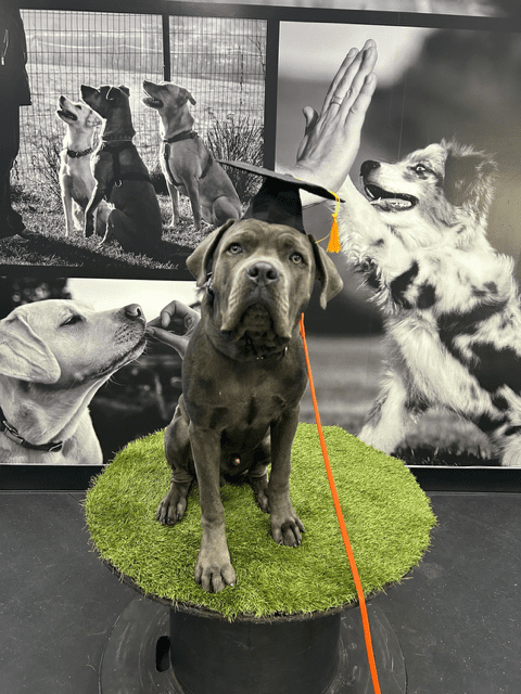 Copy of IMG_7727 (1)