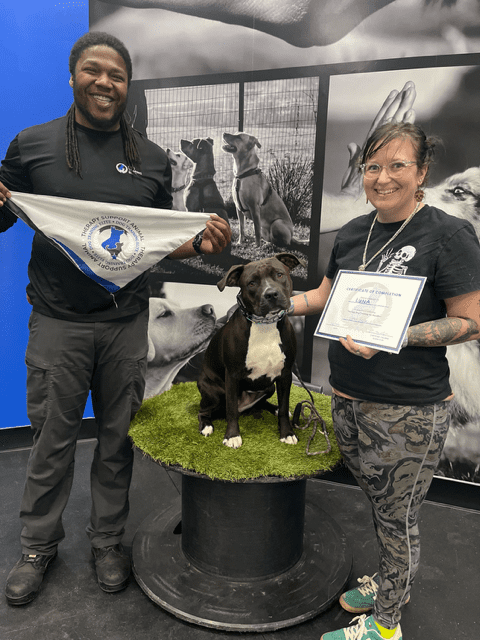 Copy of IMG_7747 (1)