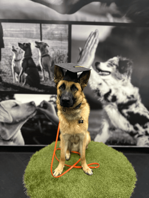 Copy of IMG_7851 (1)